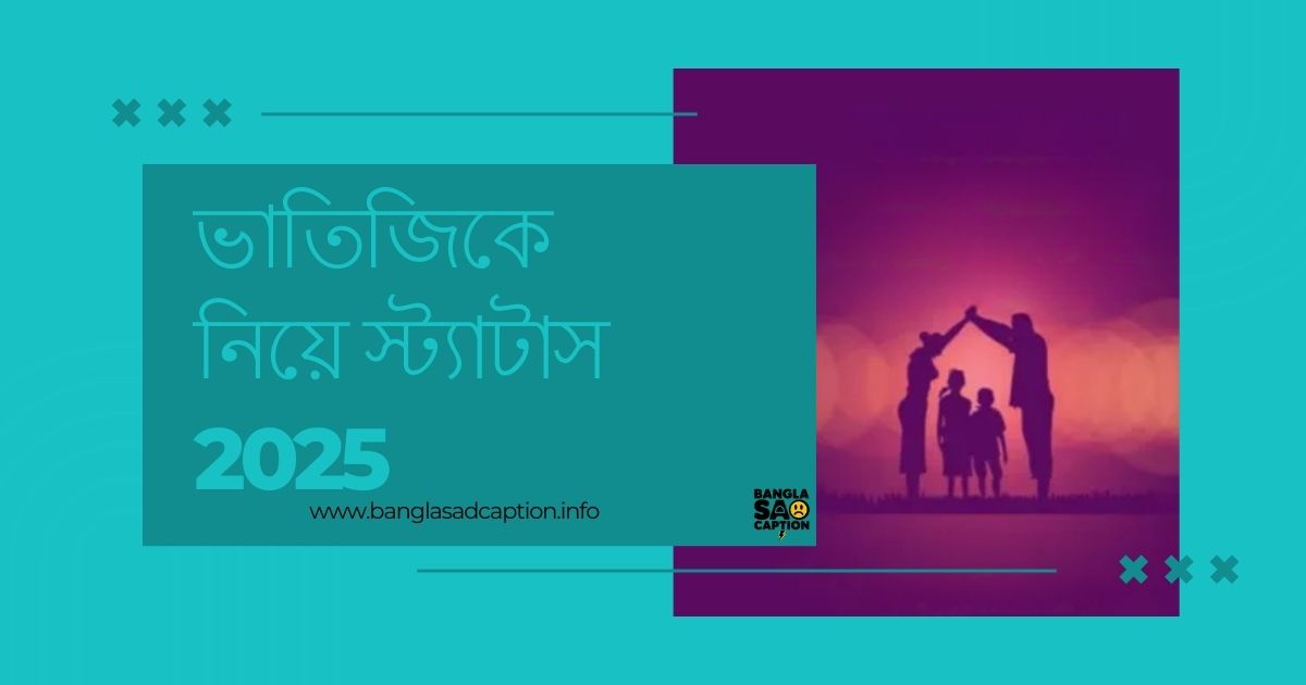 ভাতিজিকে নিয়ে স্ট্যাটাস