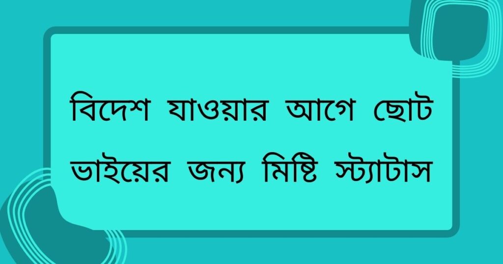 বিদেশ যাওয়ার আগে ছোট ভাইয়ের জন্য মিষ্টি স্ট্যাটাস