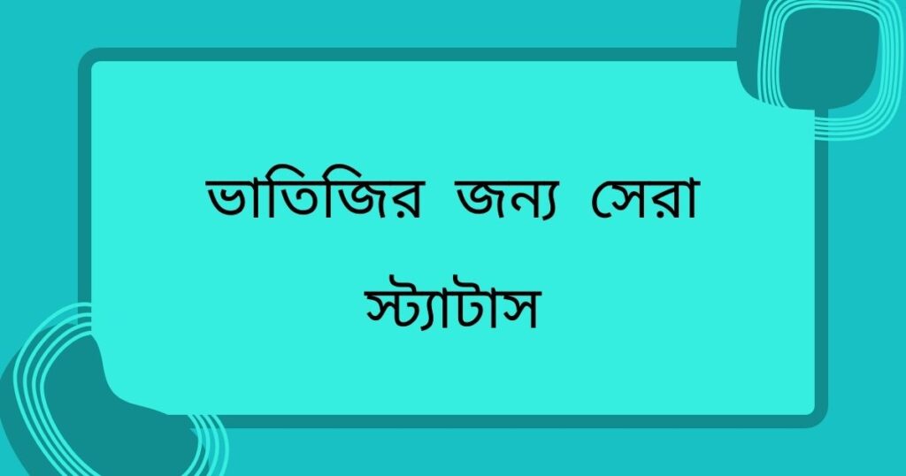ভাতিজির জন্য সেরা স্ট্যাটাস
