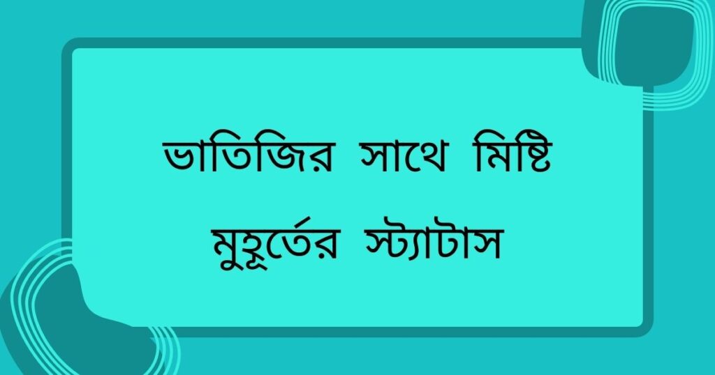ভাতিজির সাথে মিষ্টি মুহূর্তের স্ট্যাটাস