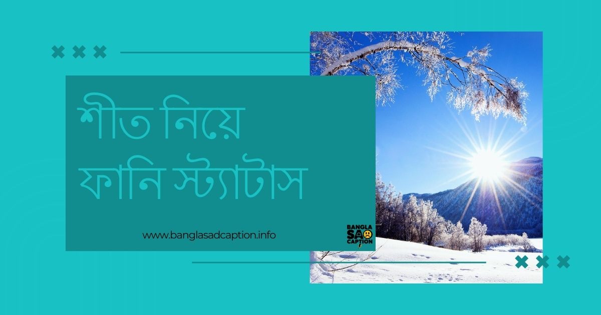 শীত নিয়ে ফানি স্ট্যাটাস