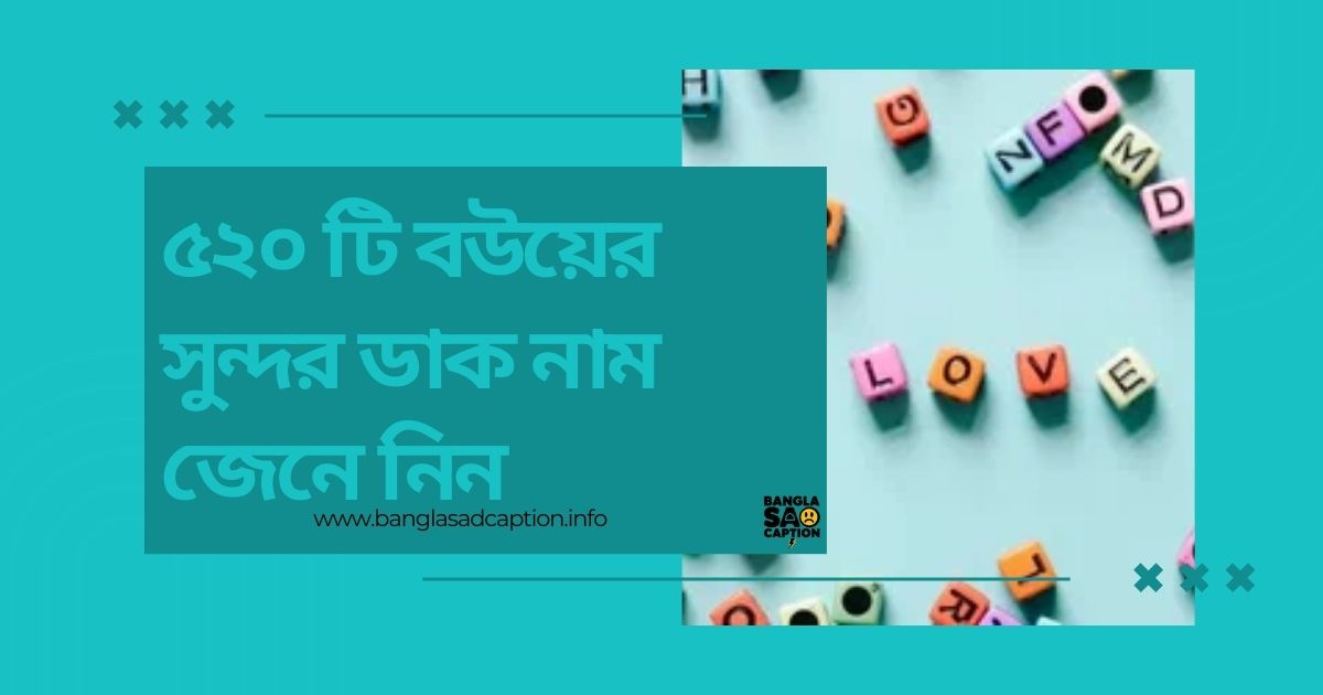 ৫২০ টি বউয়ের সুন্দর ডাক নাম জেনে নিন