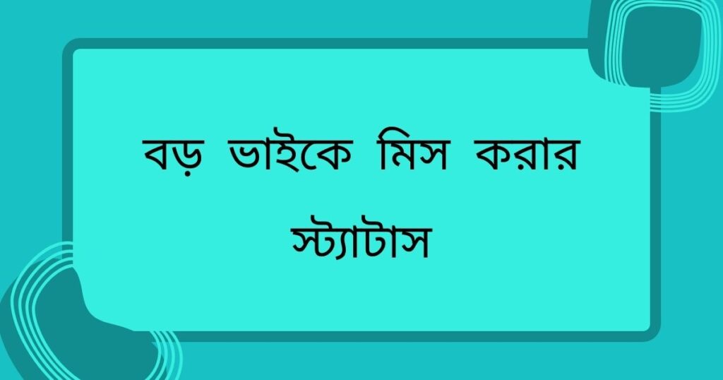 ছোট ও বড় ভাইকে মিস করার স্ট্যাটাস এবং ক্যাপশন