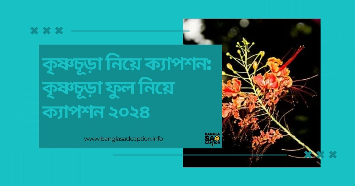 কৃষ্ণচূড়া নিয়ে ক্যাপশন